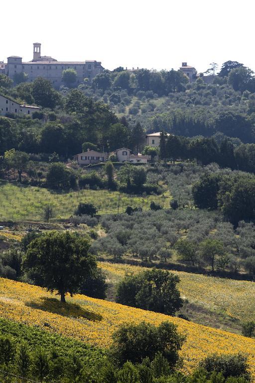 Agriturismo Il Girasole Montefalco Exteriör bild