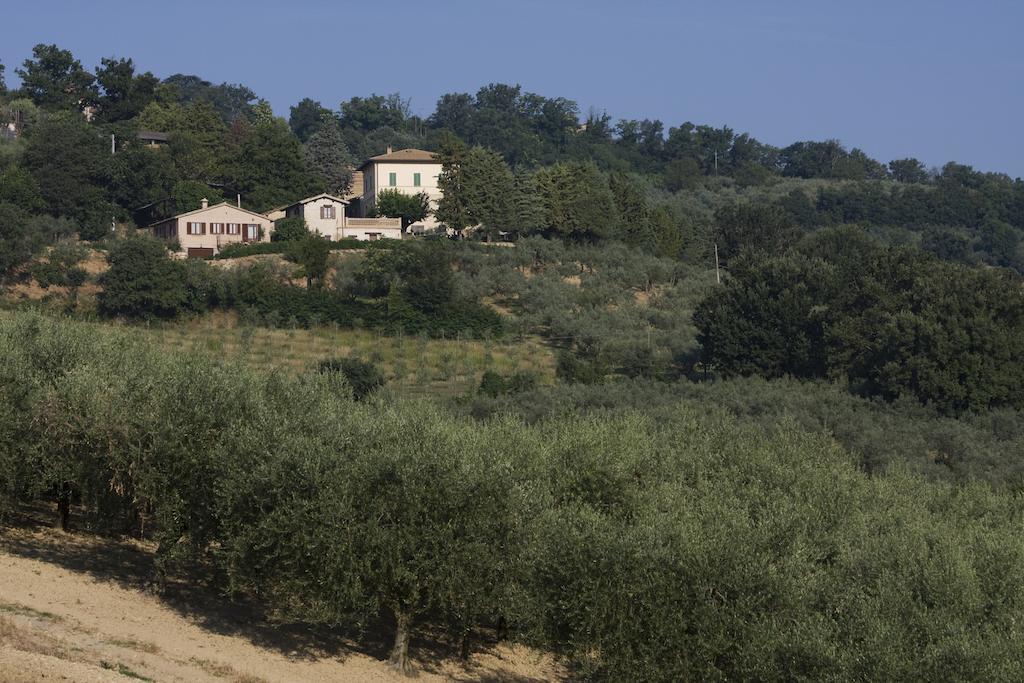 Agriturismo Il Girasole Montefalco Exteriör bild