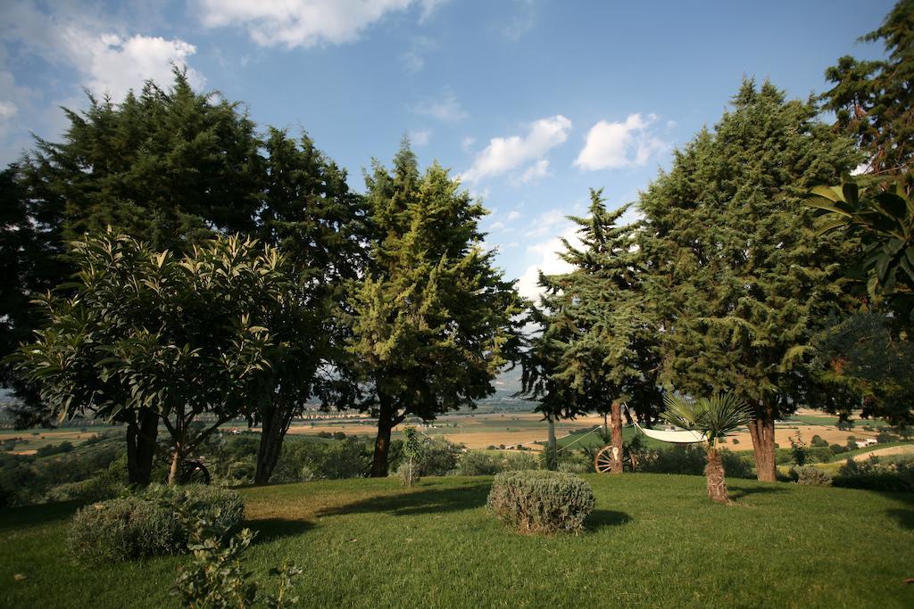 Agriturismo Il Girasole Montefalco Rum bild