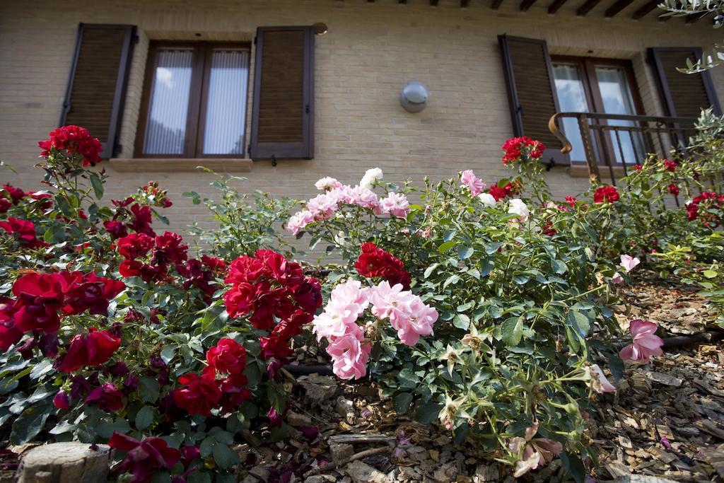 Agriturismo Il Girasole Montefalco Rum bild