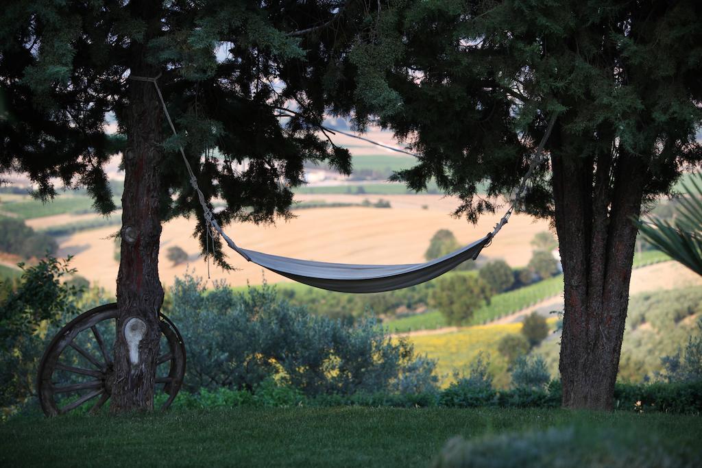 Agriturismo Il Girasole Montefalco Exteriör bild
