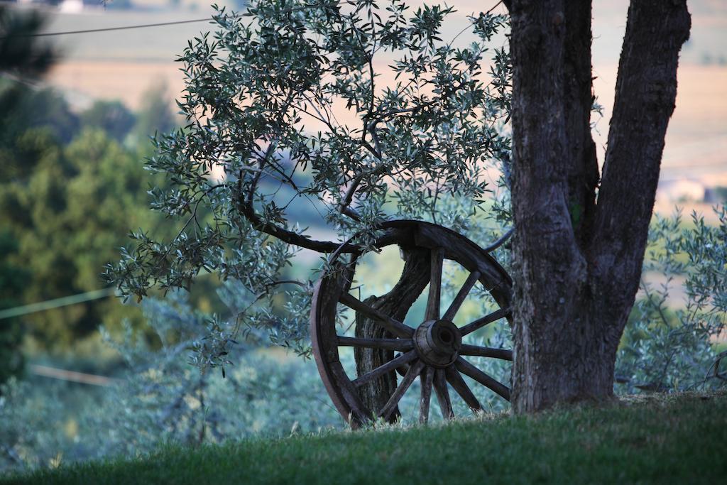 Agriturismo Il Girasole Montefalco Exteriör bild