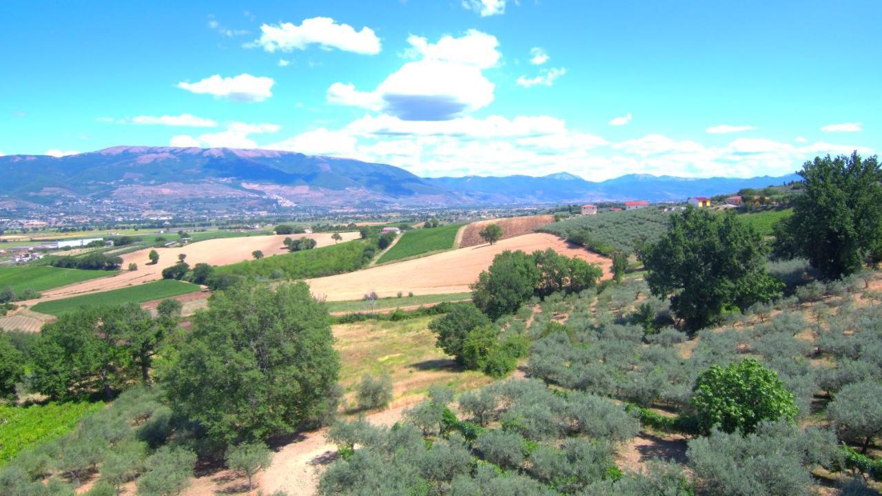 Agriturismo Il Girasole Montefalco Exteriör bild